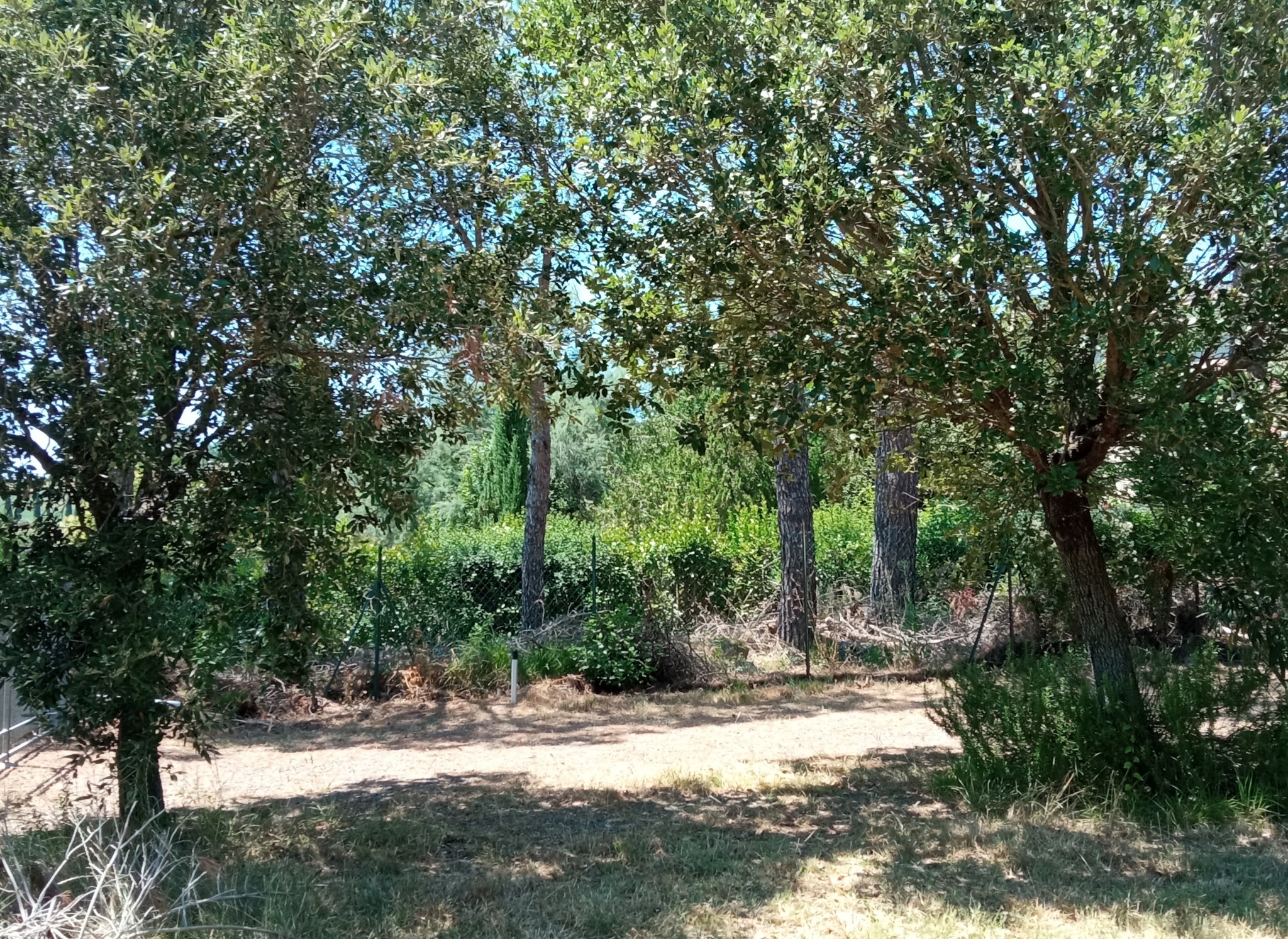 Seller-supplied photo of the Riparbella annex · photo 6
